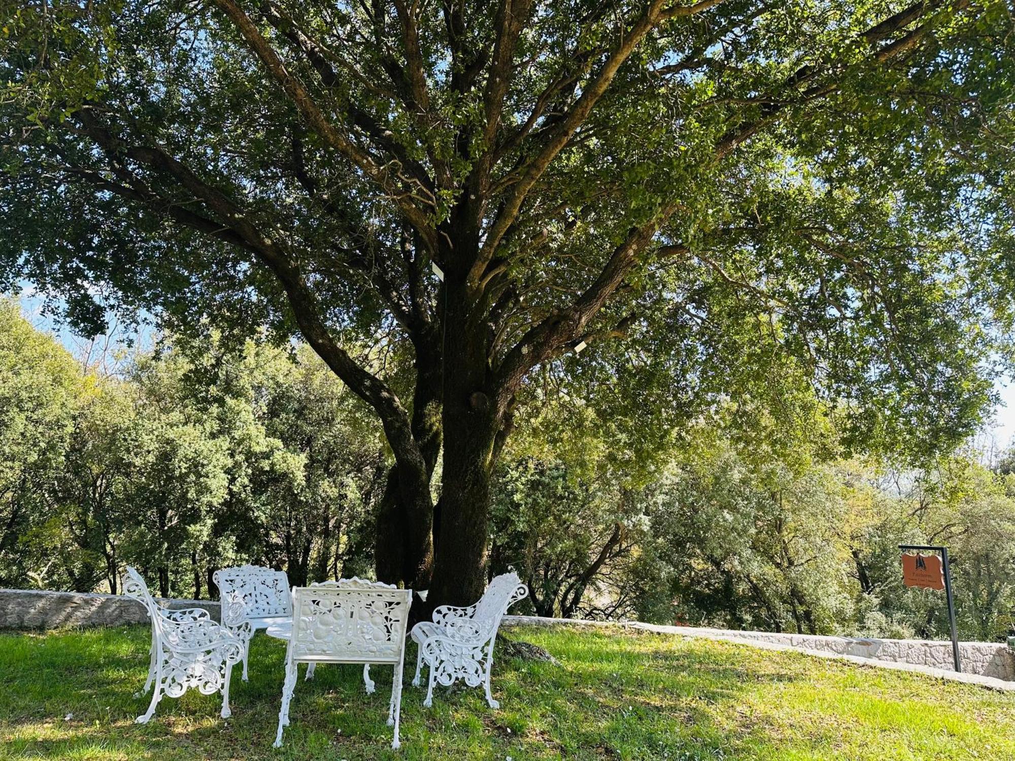 Panthoron Tzoumerka Spirits Vourgareli Bagian luar foto